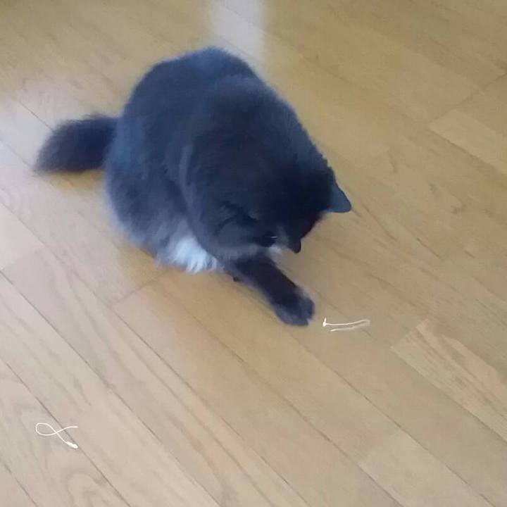 5b7b096c 0b8e 42cc b462 ca70b8d26261 1539489540811