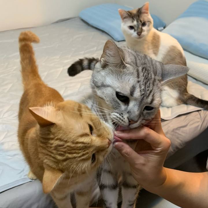 5b7b2359 8476 49ec 9317 d6f1d6f5fe26 1624960776168