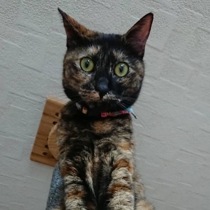 5b7b26eb 38ab 4d52 a982 780bada4ef7d 1564791516873