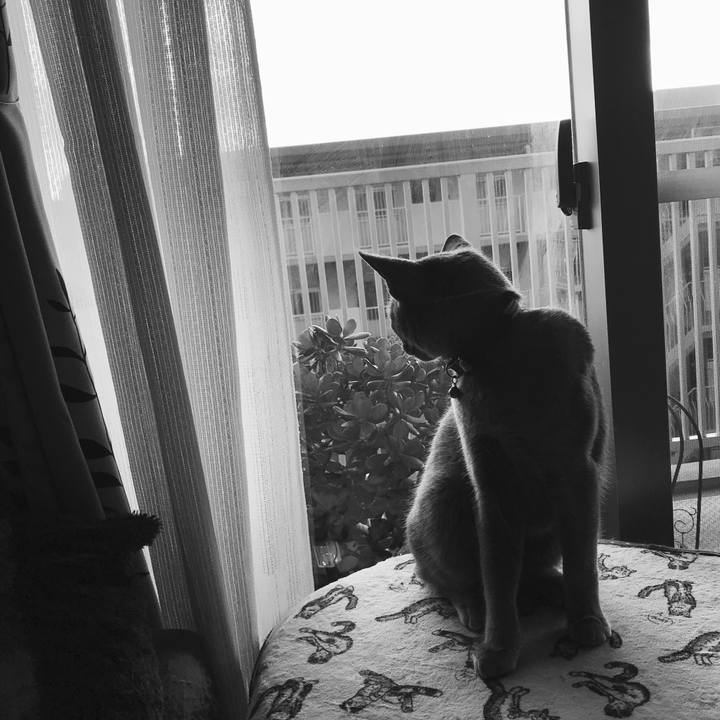 5b7b3f3d 7aec 45d5 be58 4855ae85ff53 1515587445242