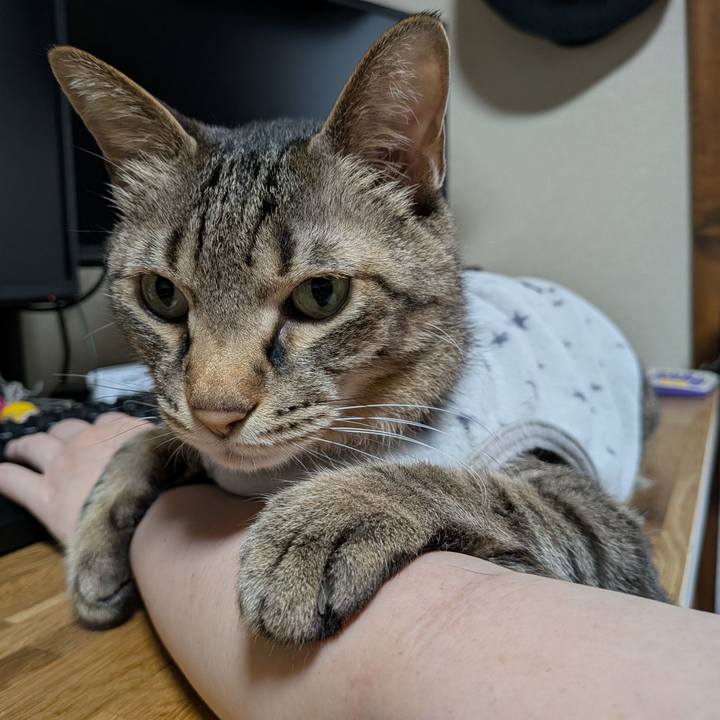 5b7b4fae d814 4c5b 9cf6 f85611aad9aa 1750755478657