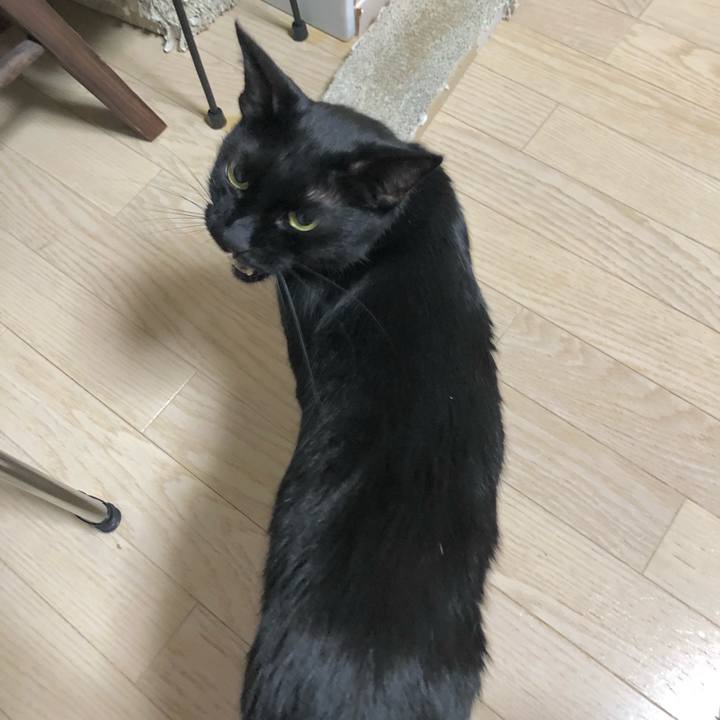 5b7b72ff 7286 41a3 9498 649e6644ed88 1629471303042