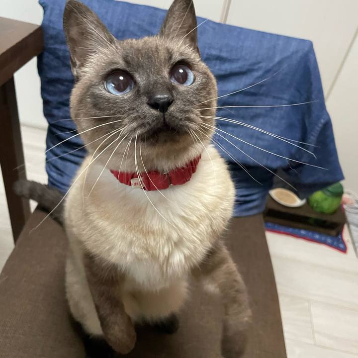 5b7b7af5 42f5 4933 a49f ccdb3eb42435 1770790696565