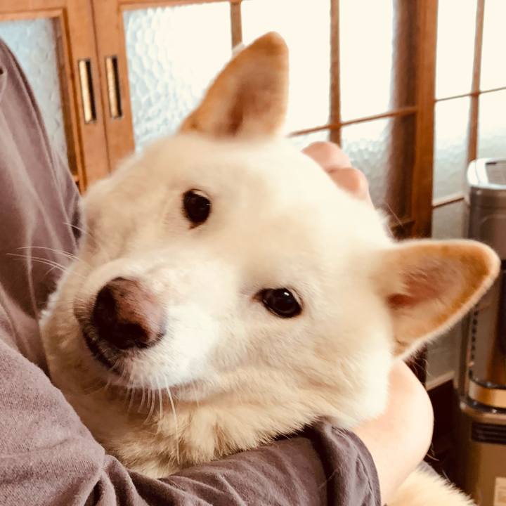 5b7ba4f7 524c 44c2 a95f 313b8d76e5da 1638062203932