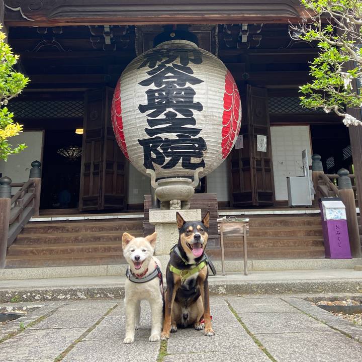 5b7bb762 7e0a 4569 b3e2 9d39eed43183 1687777312485