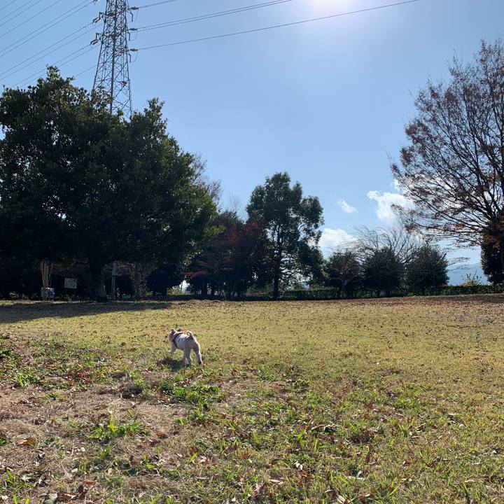 5b7bdeba 11f3 4bd8 b86f 892edf45c45e 1701177252601