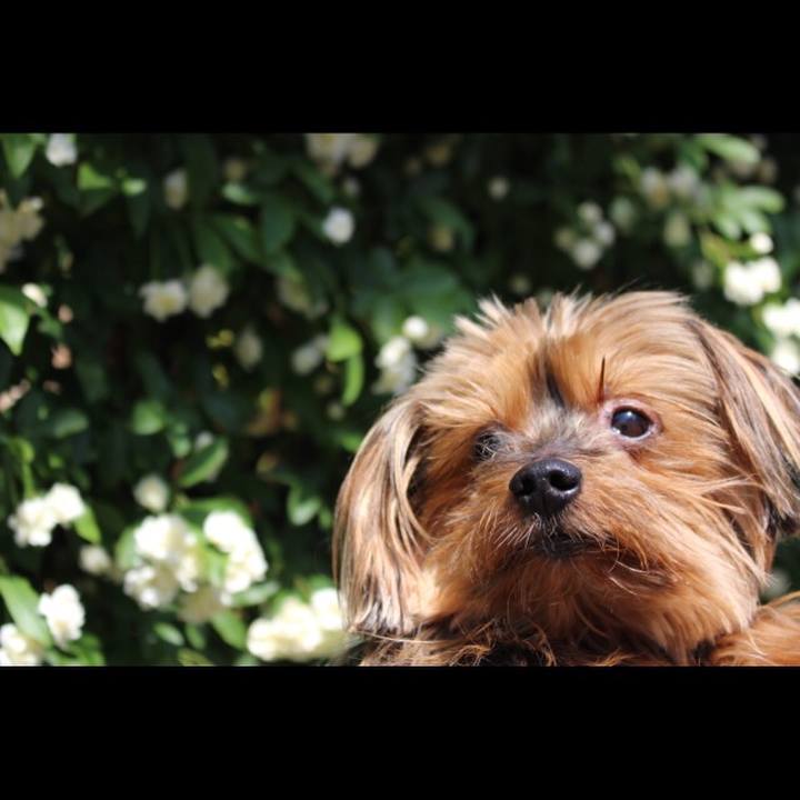 5b7c285a 6cfb 4476 891d 20fdb1837d75 1524962804363