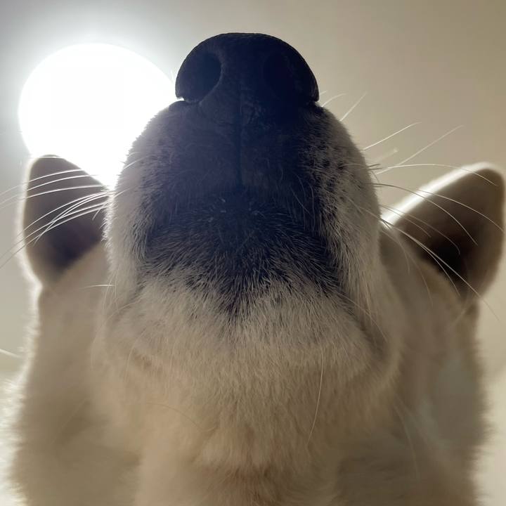 5b7c4728 7ef0 4f06 bfca 43745f1f98b0 1673613109574