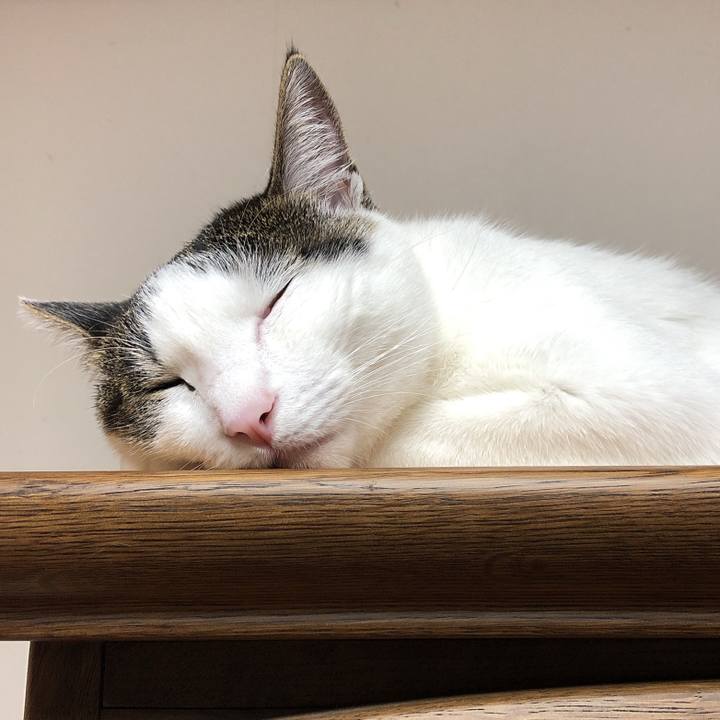 5b7c4e44 167f 4251 a359 92980f0a7388 1600344546527