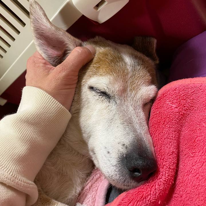 5b7c5a7f 6b12 45b9 b9c8 4be1511a3a95 1648469030968