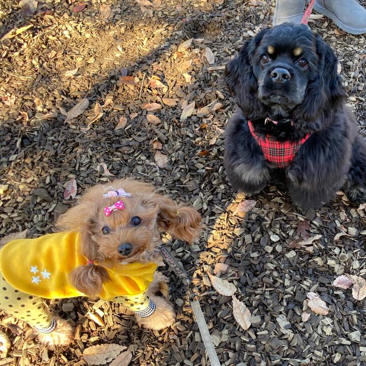 5b7c8b36 2367 4f8d b7ae 1638df11a77e 1575439696605