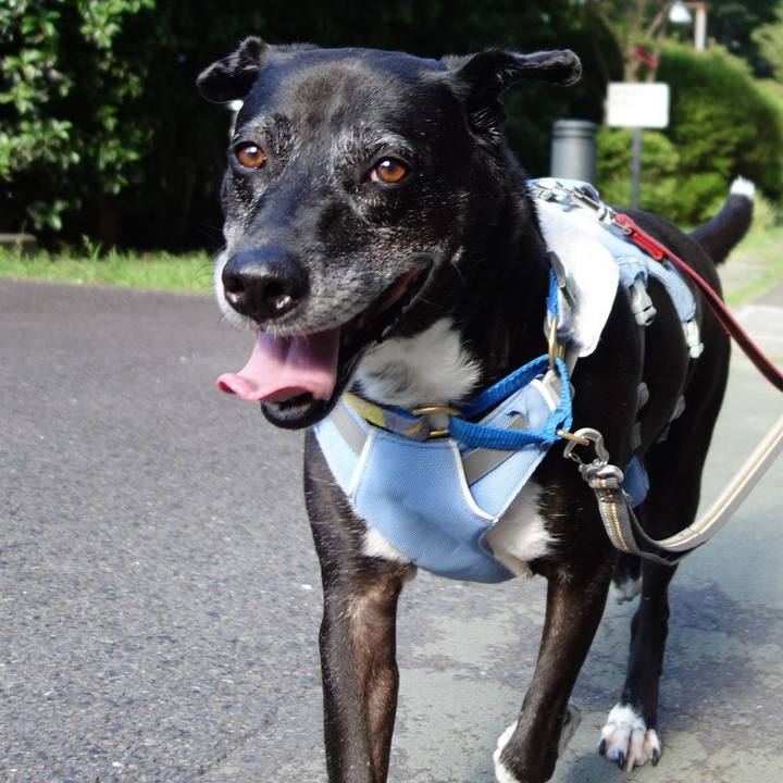 5b7ccc94 80c4 4403 8e3c 6601d1e1014a 1753229356098