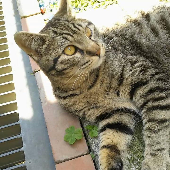 5b7cd795 0c2c 4172 bc02 584447cde269 1556764317153