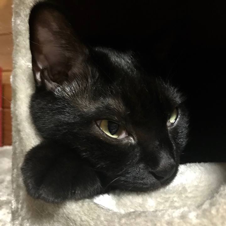 5b7d3562 c913 417f 8ead 26c4e16b3aa4 1536923133187