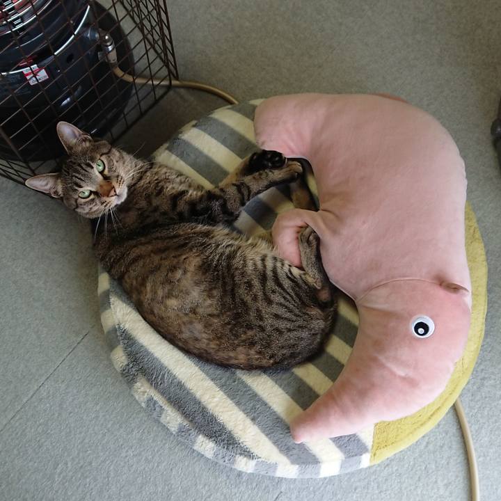 5b7d419f 9be3 49f1 80c2 758431ab683f 1581817140172