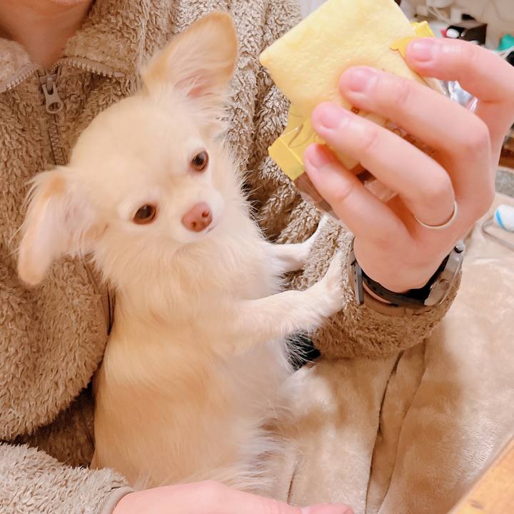 5b7d6d64 2a4e 49d7 98cd 39fc8c420235 1668859743581