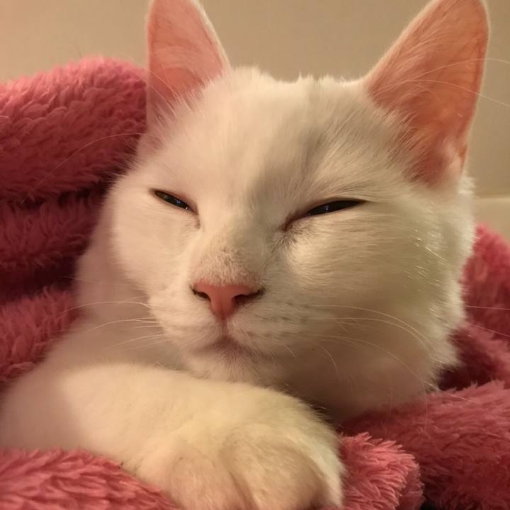 5b7d8de8 8f26 4921 a894 c87ca5d21e4a 1511094794906