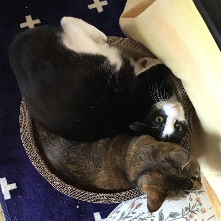 5b7da463 f118 4546 8aac 19d9dccf46dc 1707714658354