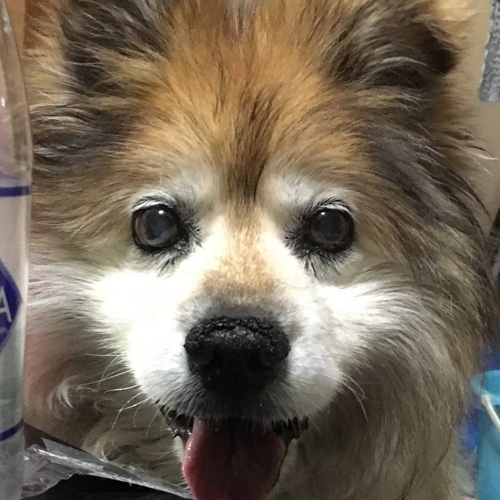 5b7dac84 271e 4514 ace5 5982d8043520 1588999600645