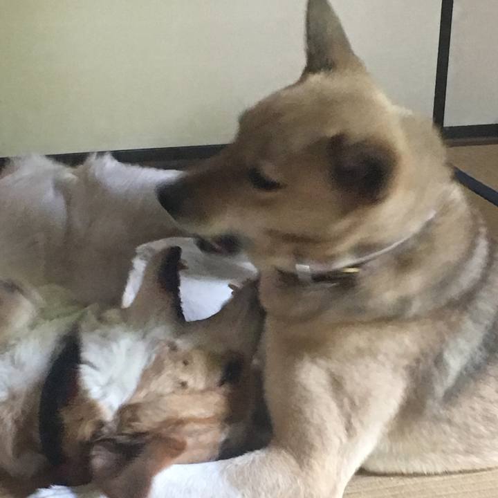 5b7ded70 3f0e 45f8 acb2 7e70b1fb0b68 1525407226693