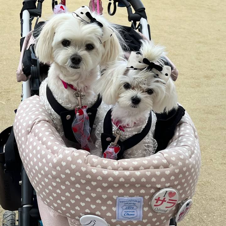 5b7dfec0 e0bd 4391 bdb3 280c05ca0d53 1728217210378