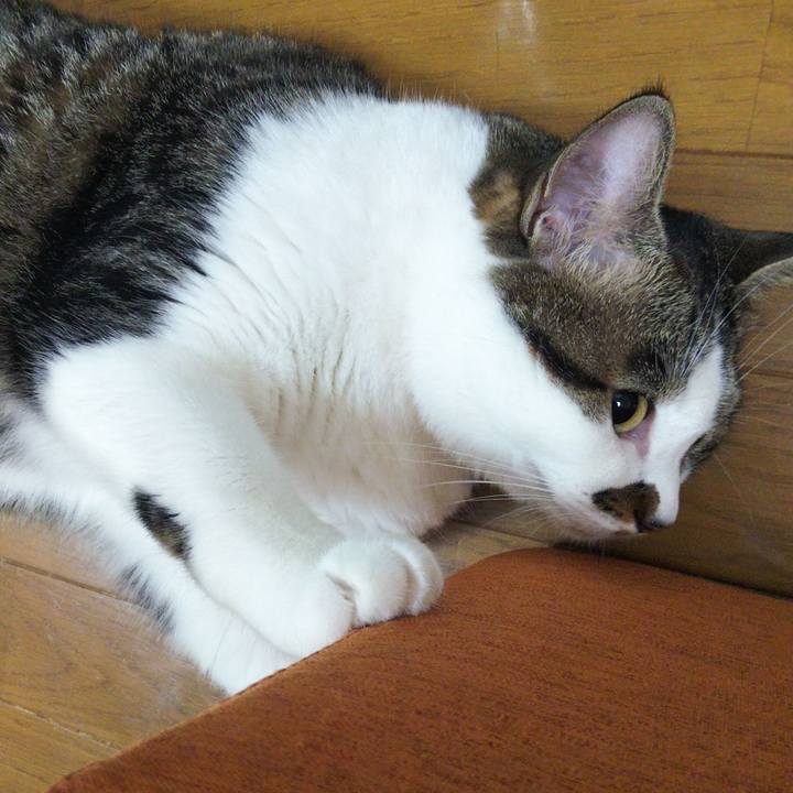 5b7e5e2e 99cf 44ca b8a9 e64b8a1df706 1658921233455