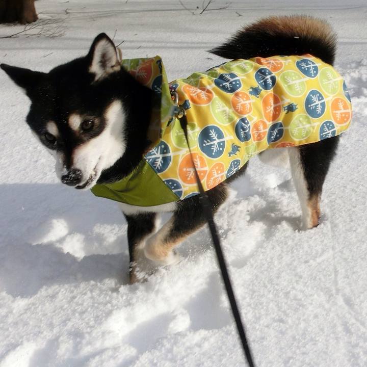 5b7eafd5 77be 48ed 8081 baf1d60cc53f 1517179951002