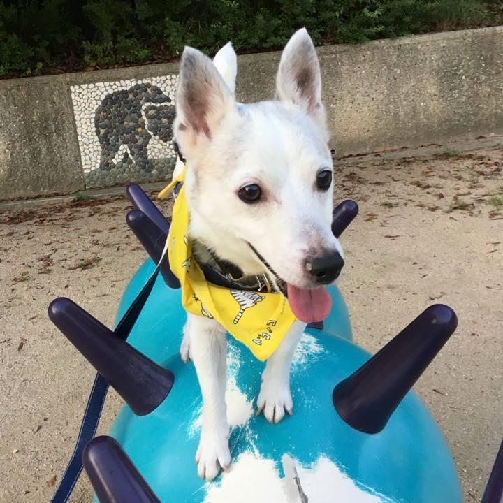 5b7effbe 87e2 4ff3 b596 96a7714a6ec9 1763173271548