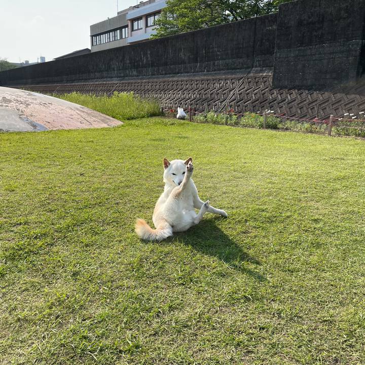 5b7f0887 1c45 46d8 bdad fd1848ff2ebf 1653412641944