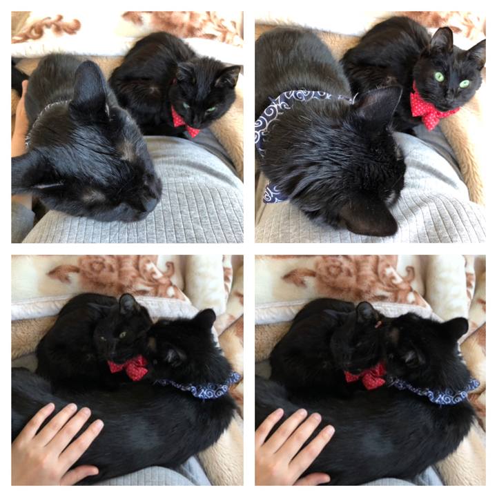 5b7f28b6 b868 48ee b0fe 5ae45dd3e429 1556945870688