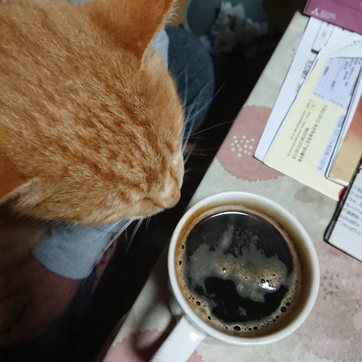 5b7f58f0 3cf4 4beb b6cc 72e71eefce50 1607370426419