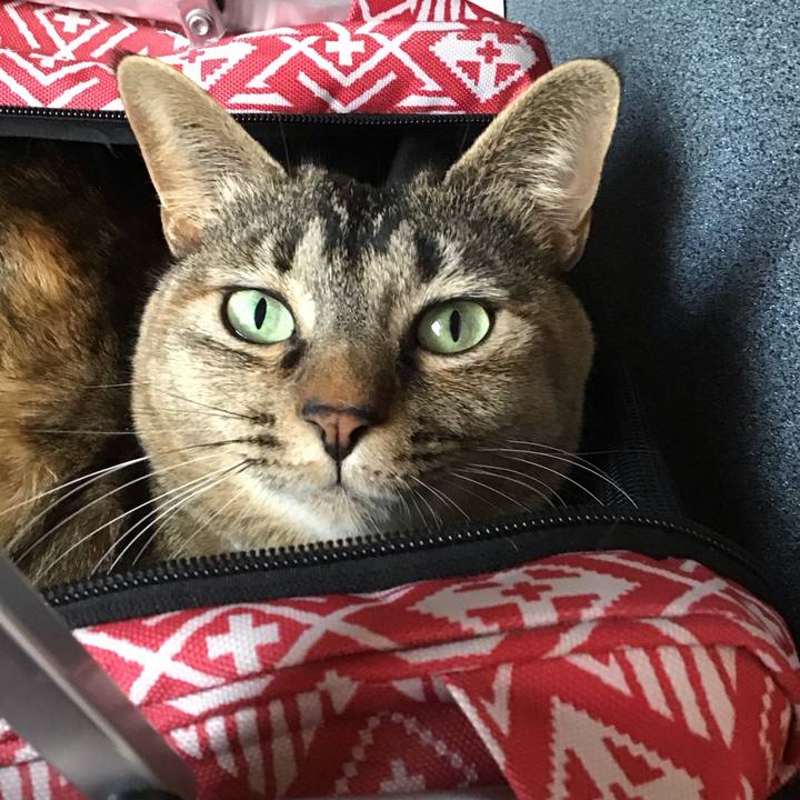 5b7f7a32 a01c 4818 8e78 87c5c7a277cf 1675408237552