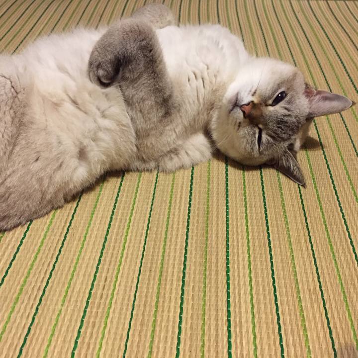 5b7f9b93 177b 4311 9dbd c335f3c9a369 1537538503355