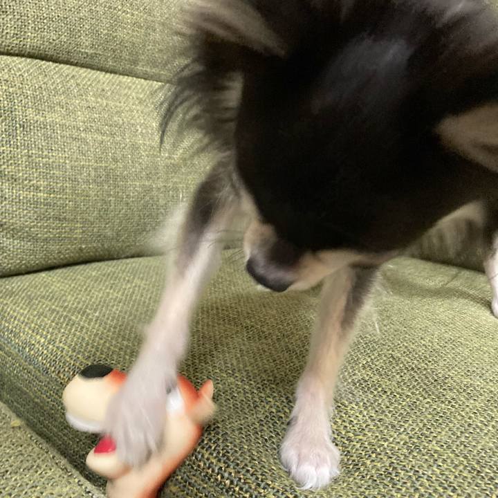 5b7fa0a1 a9ce 4974 89e8 f95fe4d7d2f8 1666446849551