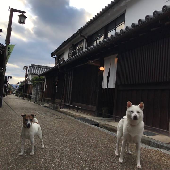 5b800089 8c9f 43ed aa41 e5ad12aadeda 1526727341782