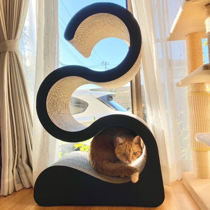 5b8040e4 6853 4f2c 93f3 a037685c2316 1634513133476