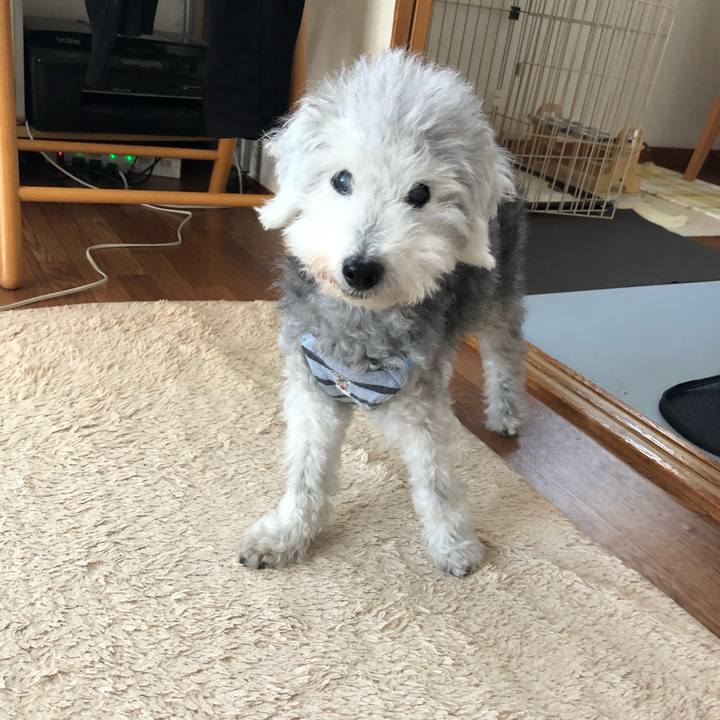 5b804dab ab77 4f3f 82ec 65622e88b9b2 1664857738107