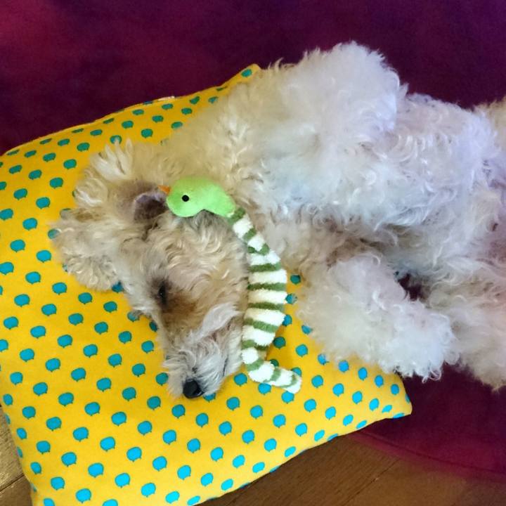 5b80567c 90b7 4c70 9722 46f8d4762357 1541261200137