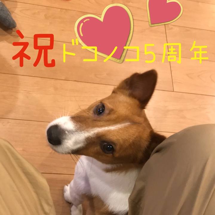 5b8092e7 62a2 486f bbe1 b92e6359be83 1622893922282