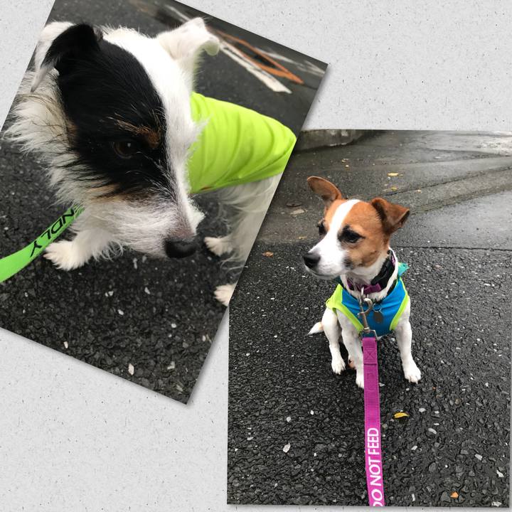 5b80b17a 19f7 48a7 bd79 6dc9e37e7d73 1507882618301