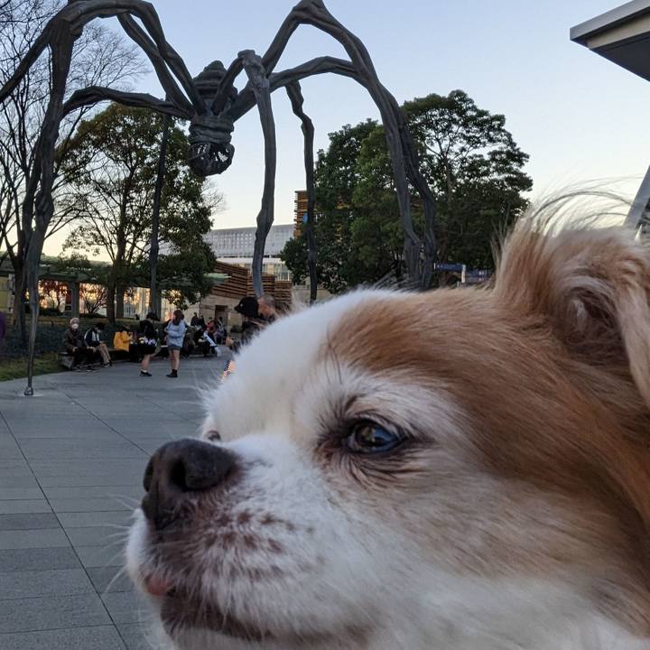 5b80c71f d415 4acc b506 64fa6ab68dc6 1671176081034