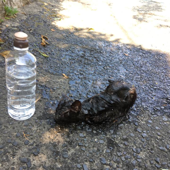 5b80daa6 7857 4a9b ad28 ddd4df8a3f3a 1532453887403