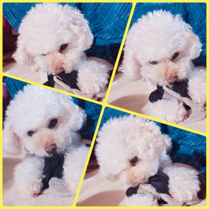 5b80e851 d9ef 43a2 8b97 7ca27f952ce3 1508540449104