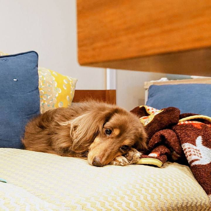 5b80f003 1491 43e5 8193 adcee7265b96 1774260314348