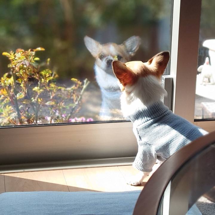 5b80f51a 0424 49f8 8e79 111627714daa 1648608162433