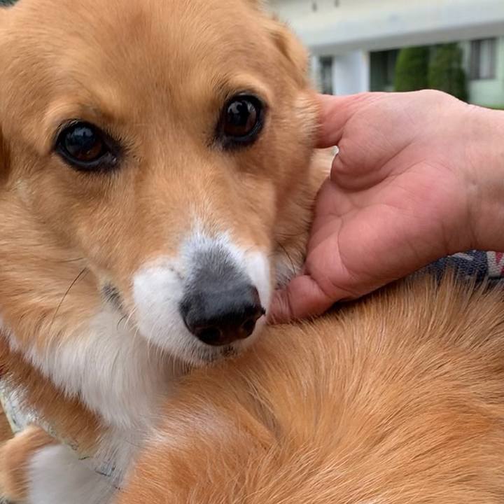 5b813121 771d 41c4 9958 96e17d128175 1651374993771