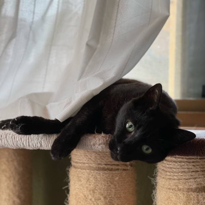 5b814666 2324 4a9d 93f1 1bb8c644c841 1658878050975