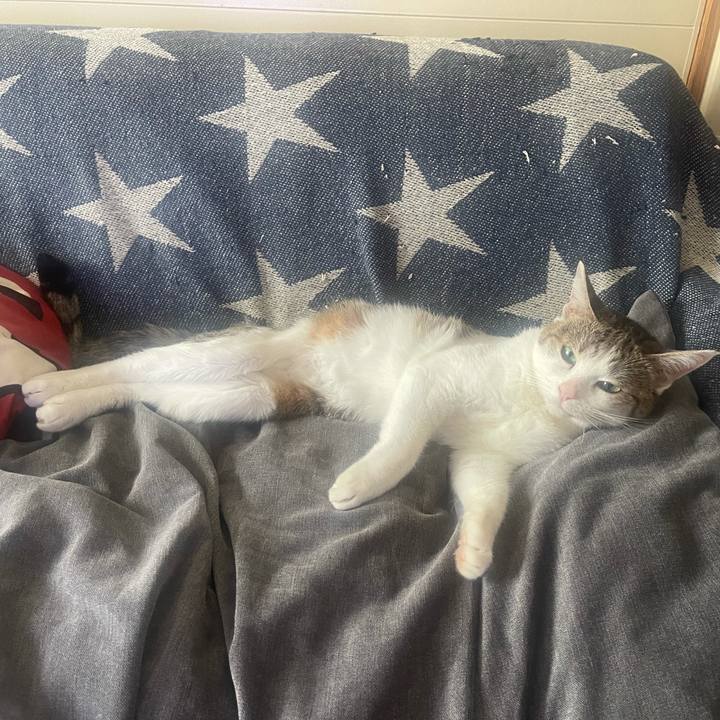 5b816060 2059 4e5b b459 0899e9cbbe77 1632356950504