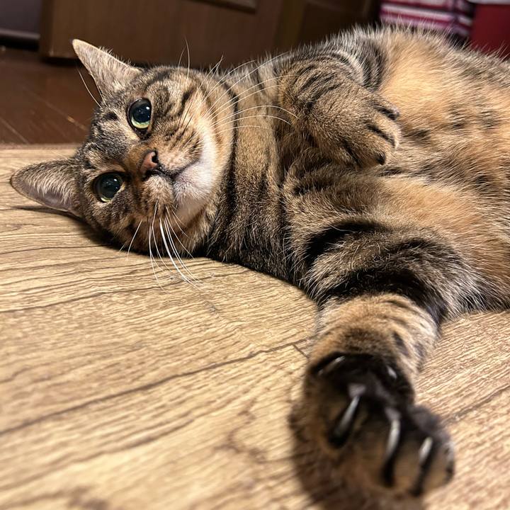 5b81a7a3 4d51 4523 a224 073f2fa54da2 1674648966465