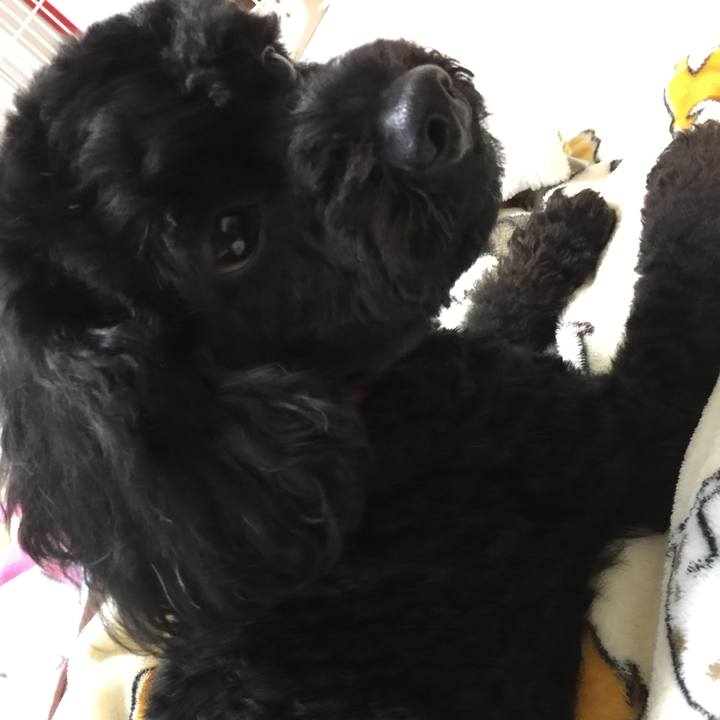 5b81e0f8 5cc3 4060 96af bb6c4b42d37e 1522915035971